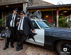 The Blues Brothers